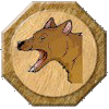 Canines