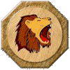 Lions