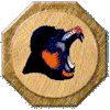 Primates