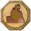 Seals, Sealions & Otters